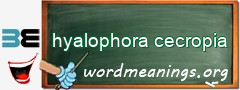 WordMeaning blackboard for hyalophora cecropia